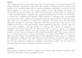 write SEO IT and computer science articles and reports